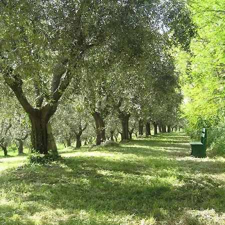 Bed and Breakfast Collesole