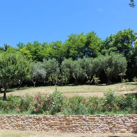 Bed and Breakfast Collesole Gradara