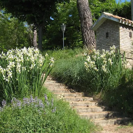 Collesole Bed and Breakfast 3*