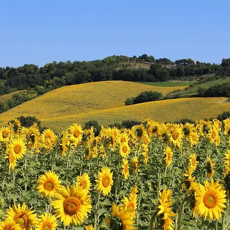 Bed & Breakfast Collesole