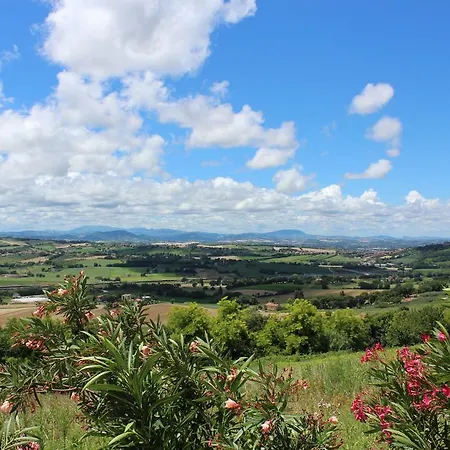 Bed & Breakfast Collesole 3*